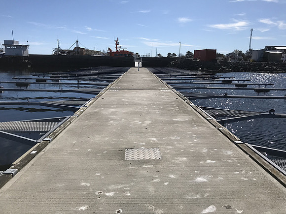 Ankomst Molobrygga Vår 22